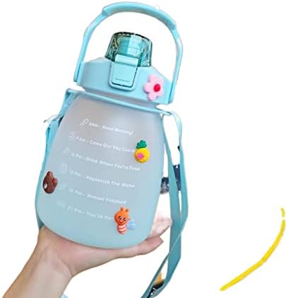 NA Chubby Cup Gradient Frosted Water Bottle