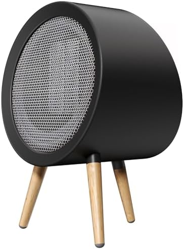 Gaiatop Electric Desk Heater with 4X Safety 2s PTC Heating Black