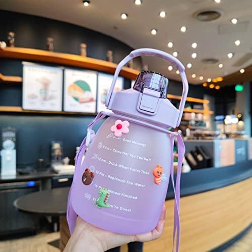 NA Chubby Cup Gradient Frosted Water Bottle