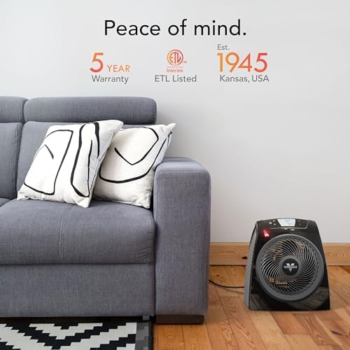 Vornado TAVH10 Space Heater with Remote