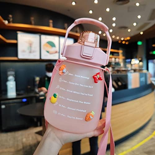 NA Chubby Cup Gradient Frosted Water Bottle