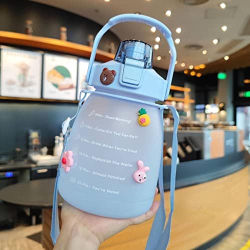 NA Chubby Cup Gradient Frosted Water Bottle