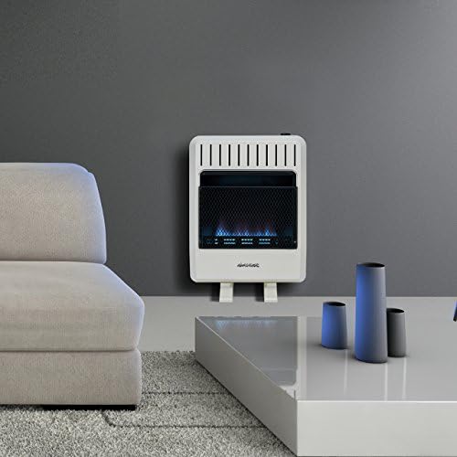 Avenger Dual Fuel Ventless Blue Flame Heater - 30000 BTU Model FDT30BF