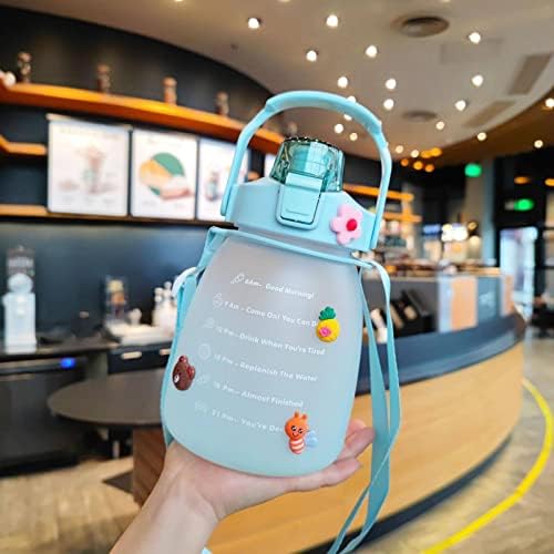 NA Chubby Cup Gradient Frosted Water Bottle