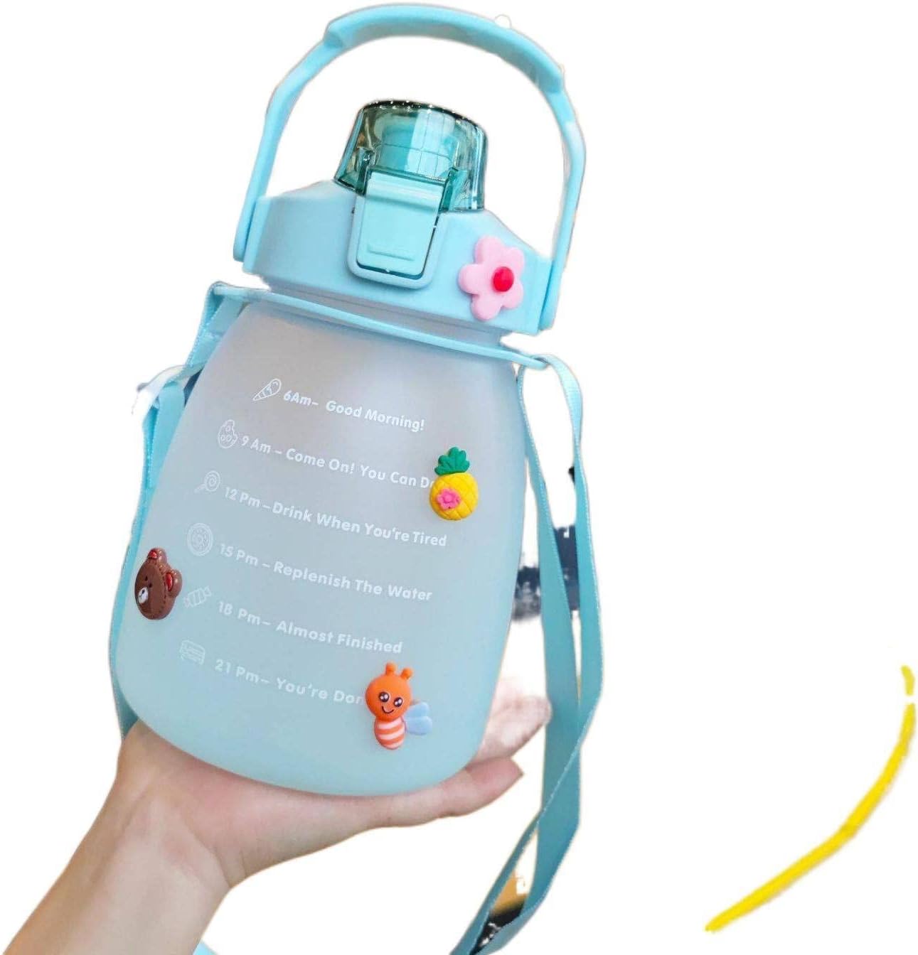NA Chubby Cup Gradient Frosted Water Bottle