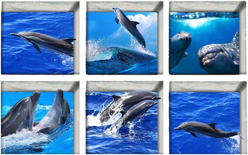 AILEGOU 3D Non-Slip Bathtub Stickers with Dolphins - 6 Pieces