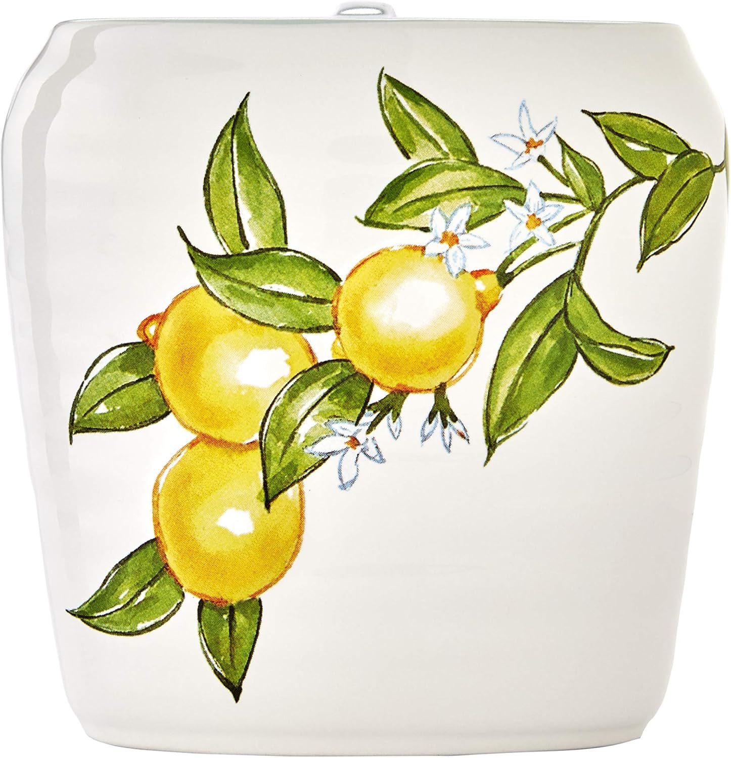 Vern Yip by SKL Home Citrus Grove Toothbrush Holder White 1