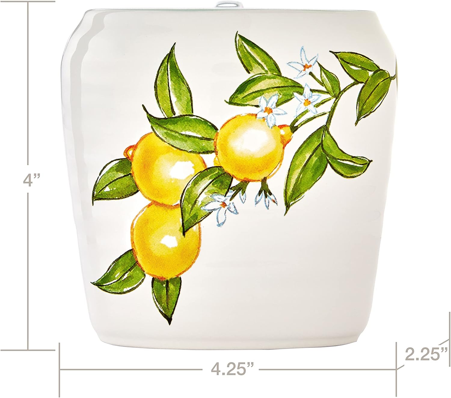 Vern Yip by SKL Home Citrus Grove Toothbrush Holder White 1
